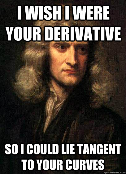 I wish I were your derivative  So i could lie tangent to your curves  Sir Isaac Newton