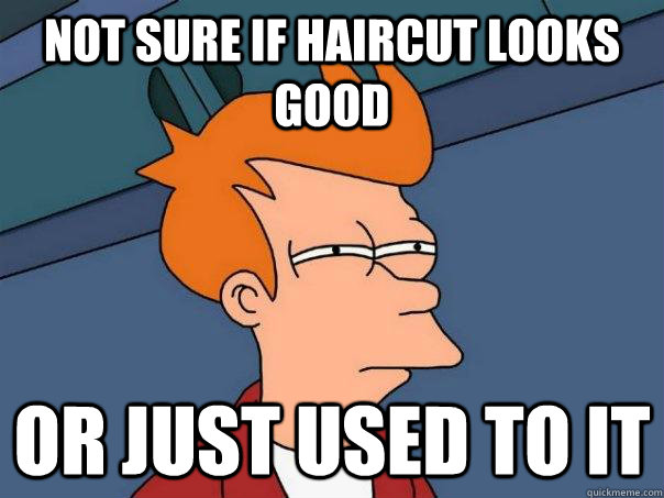 Not sure if haircut looks good Or just used to it   Futurama Fry