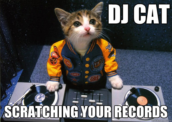 DJ CAT Scratching your records - DJ CAT Scratching your records  Dj cat