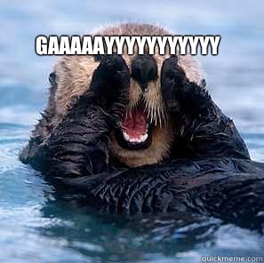 GAAAAAYYYYYYYYYYY   Gay Complementing Otter