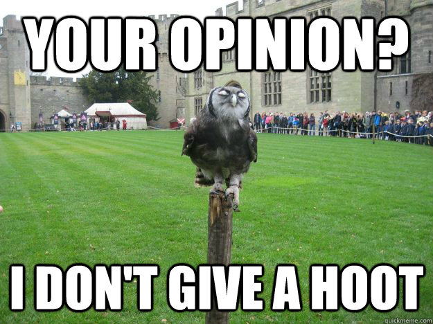 Your opinion? I don't give a hoot  Smug Owl