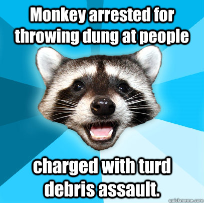 Monkey arrested for throwing dung at people charged with turd debris assault.  Lame Pun Coon