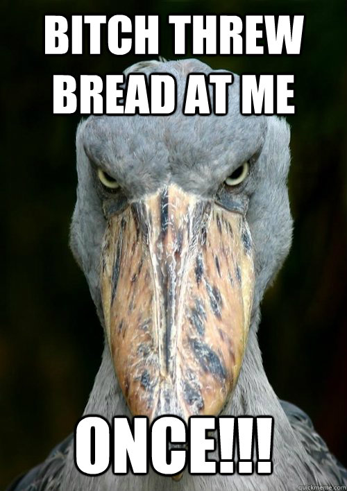 Bitch threw bread at me once!!!  Serious Shoebill Stork
