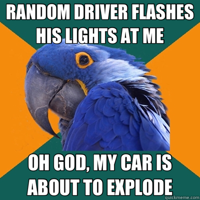 RANDOM DRIVER FLASHES HIS LIGHTS AT ME OH GOD, MY CAR IS ABOUT TO EXPLODE  Paranoid Parrot