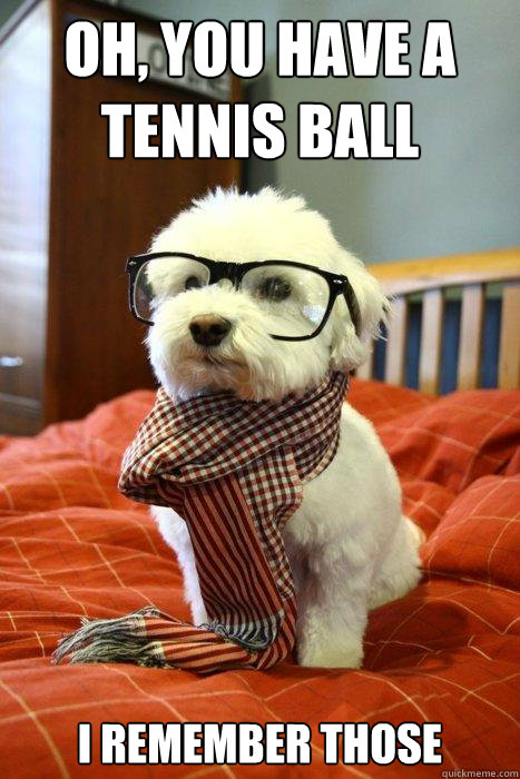 Oh, you have a tennis ball I remember those  Hipster Dog