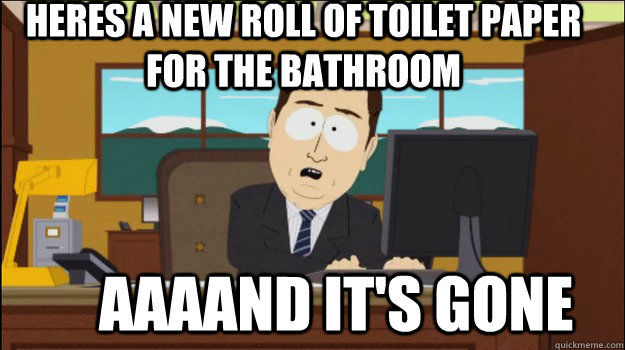 Heres a new roll of toilet paper for the bathroom     aaaand it's gone  Annnd Its gone