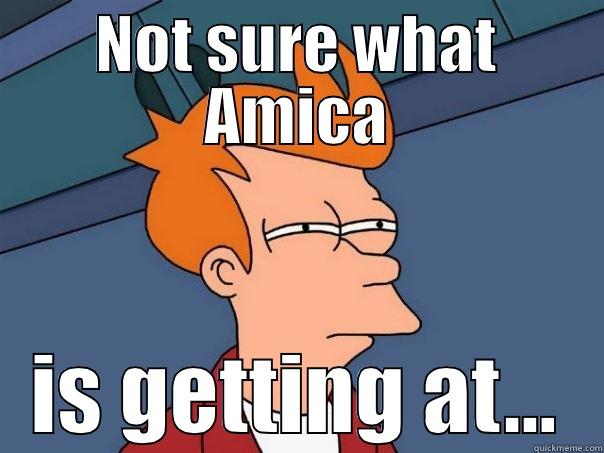 NOT SURE WHAT AMICA IS GETTING AT... Futurama Fry