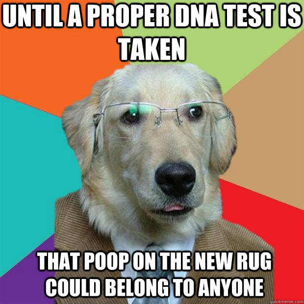 until a proper dna test is taken that poop on the new rug could belong to anyone  Business Dog