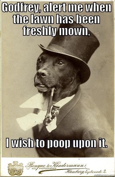 Dog poop joke - GODFREY, ALERT ME WHEN THE LAWN HAS BEEN FRESHLY MOWN, I WISH TO POOP UPON IT.                                                                                                             Old Money Dog