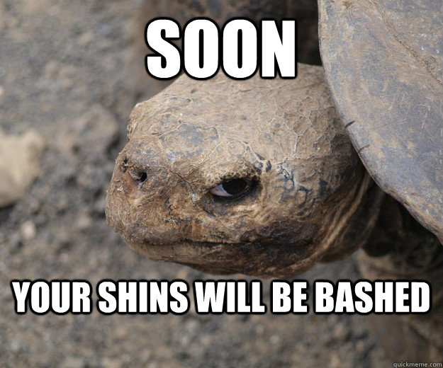 Soon Your shins will be bashed  Angry Turtle