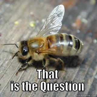 To BEE or not To BE -  THAT IS THE QUESTION Hivemind bee