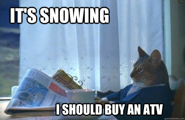It's snowing I should buy an atv  Sophisticated Cat