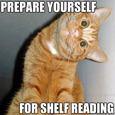 Prepare yourself For Shelf reading - Prepare yourself For Shelf reading  Library Problems