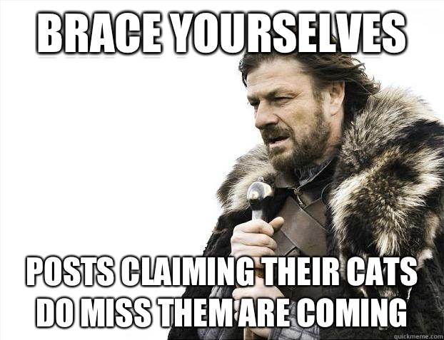 Brace yourselves Posts claiming their cats DO miss them are coming  Brace Yourselves - Borimir