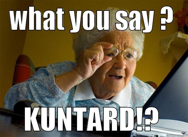 WHAT YOU SAY ? KUNTARD!? Grandma finds the Internet