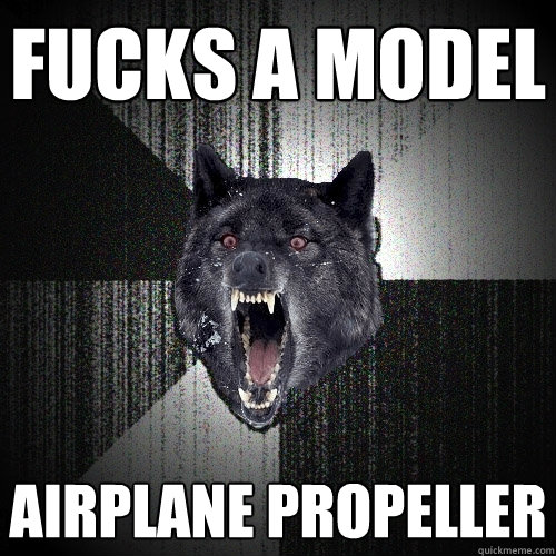 fucks a model airplane propeller - fucks a model airplane propeller  Insanity Wolf