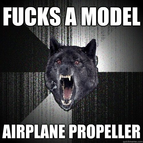 fucks a model airplane propeller  Insanity Wolf