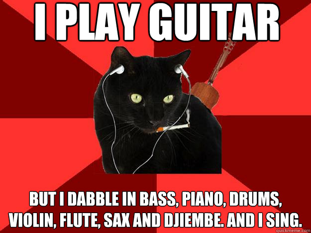 I play guitar but i dabble in bass, piano, drums, violin, flute, sax and djiembe. and i sing.  Berklee Cat