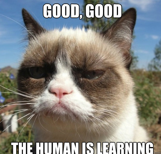 good, good the human is learning  - good, good the human is learning   Misc