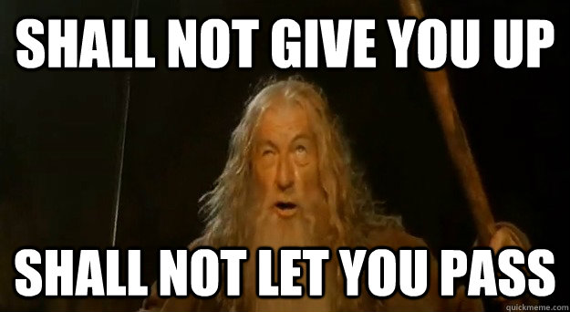 SHALL NOT GIVE YOU UP SHALL NOT LET YOU PASS  Advice gandalf