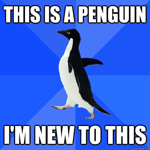 this is a penguin i'm new to this  Socially Awkward Penguin