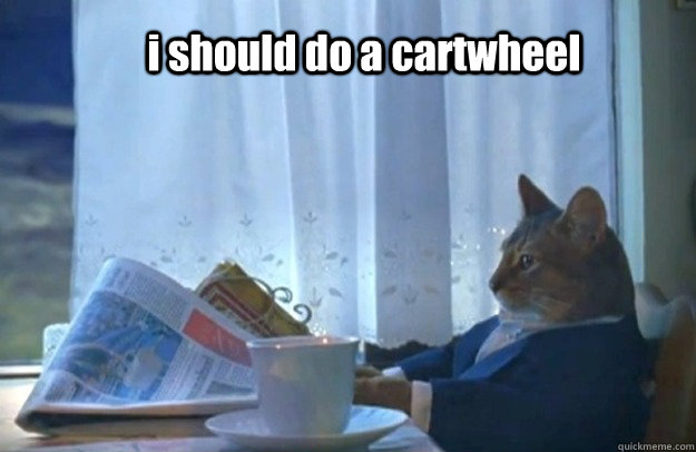 i should do a cartwheel - i should do a cartwheel  Sophisticated Cat