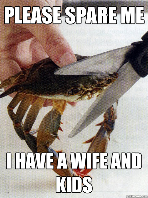Please spare me I have a wife and kids  Optimistic Crab
