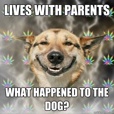 lives with parents what happened to the dog? - lives with parents what happened to the dog?  Stoner Dog