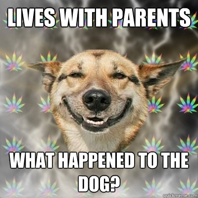 lives with parents what happened to the dog?  Stoner Dog