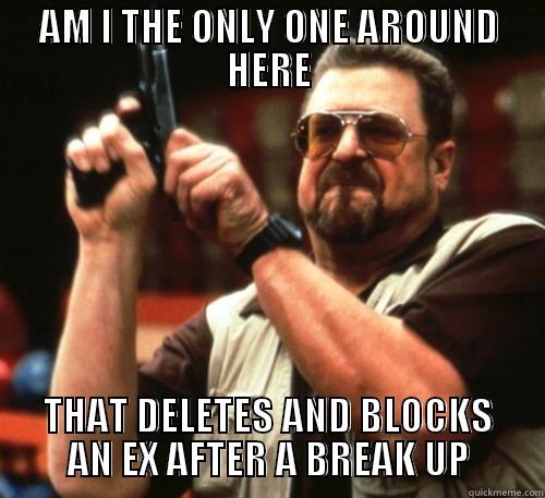AM I THE ONLY ONE AROUND HERE THAT DELETES AND BLOCKS AN EX AFTER A BREAK UP Am I The Only One Around Here
