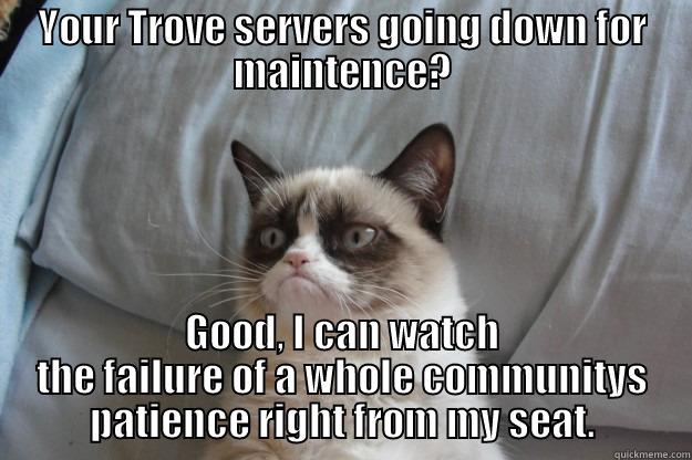 YOUR TROVE SERVERS GOING DOWN FOR MAINTENCE? GOOD, I CAN WATCH THE FAILURE OF A WHOLE COMMUNITYS PATIENCE RIGHT FROM MY SEAT. Grumpy Cat