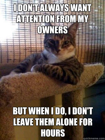 I don't always want attention from my owners but when I do, I don't leave them alone for hours  The Most Interesting Cat in the World