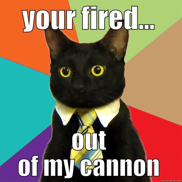 YOUR FIRED... OUT OF MY CANNON Business Cat