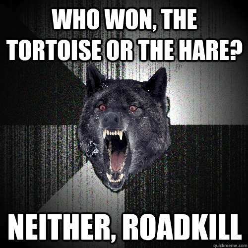 Who won, the tortoise or the hare? NEITHER, ROADKILL  Insanity Wolf
