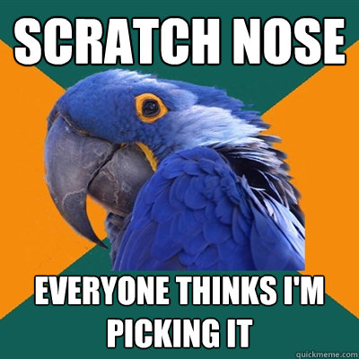 Scratch nose Everyone thinks I'm picking it  Paranoid Parrot