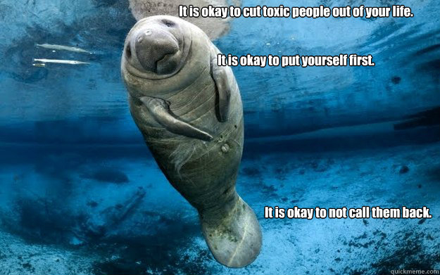 It is okay to cut toxic people out of your life.


It is okay to put yourself first. It is okay to not call them back.   calming manatee