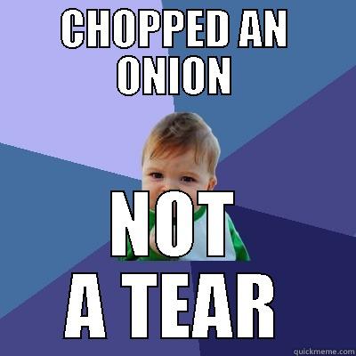 CHOPPED AN ONION NOT A TEAR Success Kid