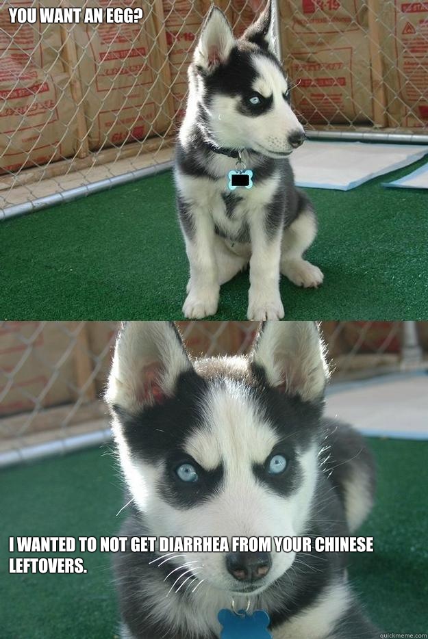 You want an egg? I wanted to not get diarrhea from your Chinese leftovers.  Insanity puppy