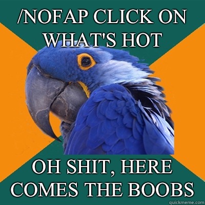 /nofap click on what's hot Oh shit, here comes the boobs  Paranoid Parrot