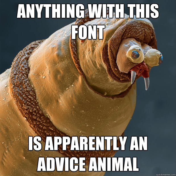 Anything with this font Is apparently an advice animal  