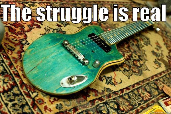 GUITAR FUNNY - THE STRUGGLE IS REAL   Misc