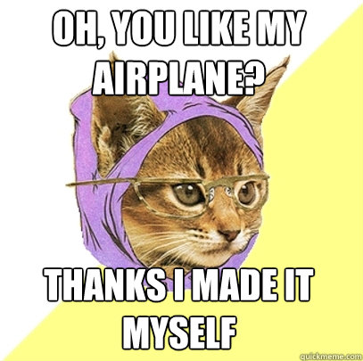 oh, you like my airplane? thanks i made it myself  Hipster Kitty