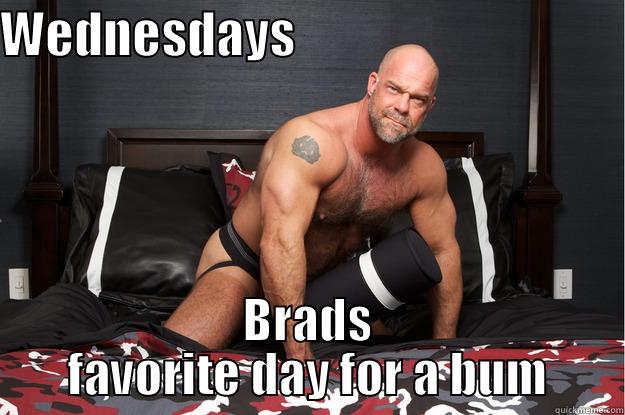 WEDNESDAYS                                  BRADS FAVORITE DAY FOR A BUM Gorilla Man