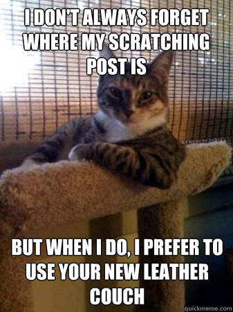 I don't always forget where my scratching post is but when I do, I prefer to use your new leather couch  The Most Interesting Cat in the World
