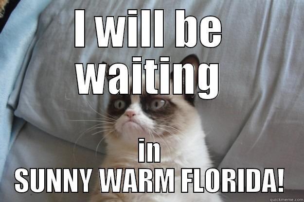 I WILL BE WAITING IN SUNNY WARM FLORIDA! Grumpy Cat