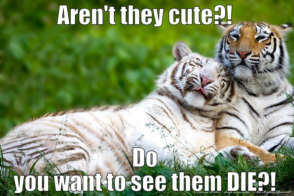 AREN'T THEY CUTE?! DO YOU WANT TO SEE THEM DIE?! Misc