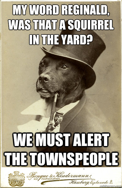 My word Reginald, was that a squirrel in the yard?
 We must alert the townspeople  Old Money Dog