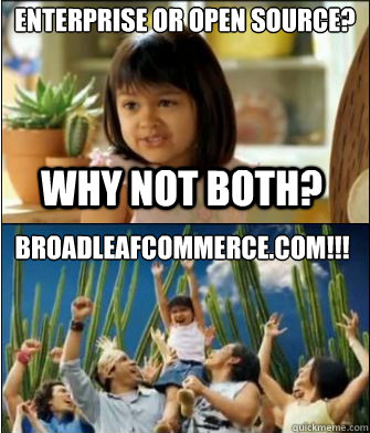 Why not both? Enterprise or open source? broadleafcommerce.com!!!  Why not both