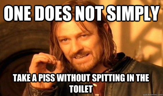 ONE DOES NOT SIMPLY TAKE A PISS WITHOUT SPITTING IN THE TOILET  One Does Not Simply