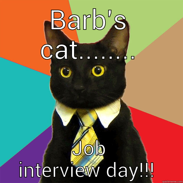 BARB'S CAT........ JOB INTERVIEW DAY!!!  Business Cat
